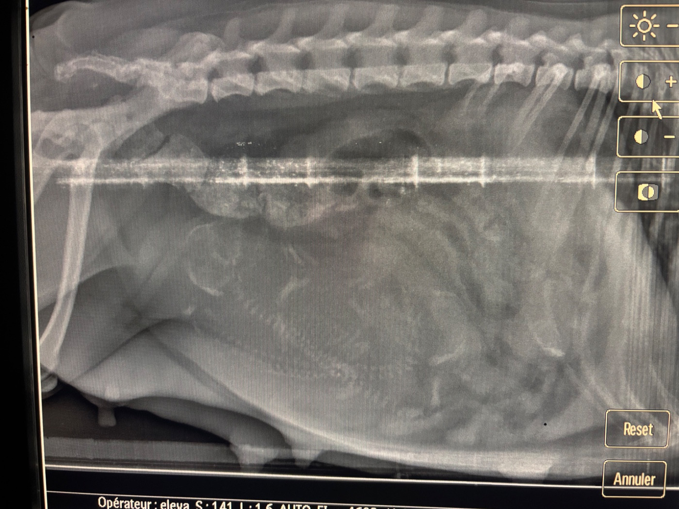 Portée attendue pour début avril!